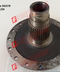 592578 - MOZZO R.M. USATO